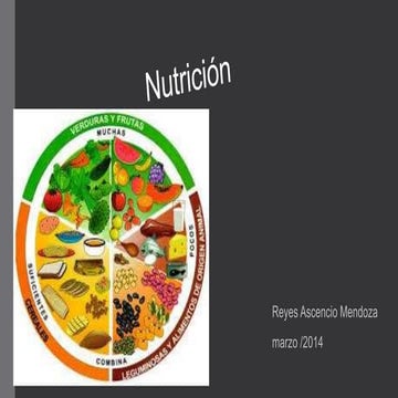 Diferencia entre alimentecion,nutrición,dietética,dieta y dietoterapia