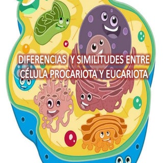 Diferencias entre célula procariota...