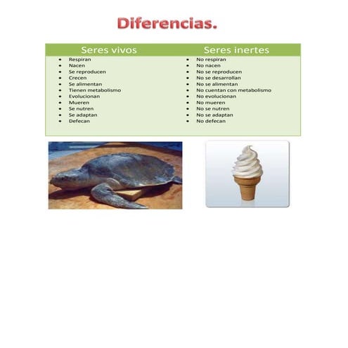 Diferencias entre seres vivos y seres inertes