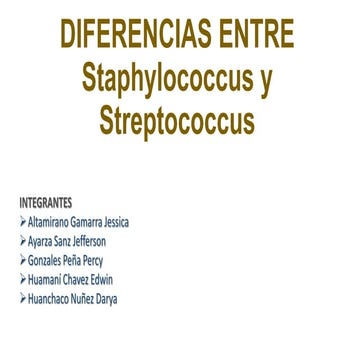 Diferencias entre staphylococcus y streptococcus