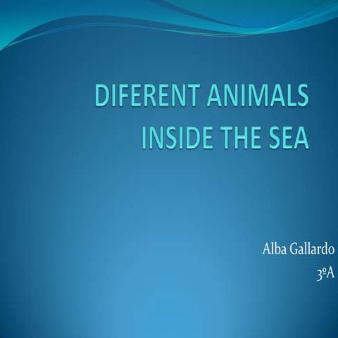Diferent animals inside the sea
