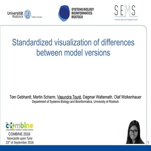 Standardized visualisation of differences between model versions