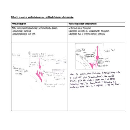 Difference between annotated and labelled