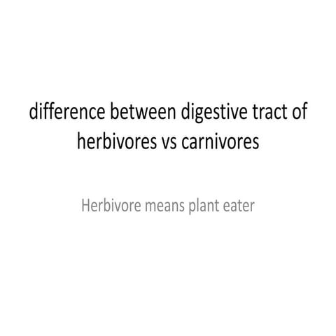 Difference between digestive tract of herbovores vs carnivores