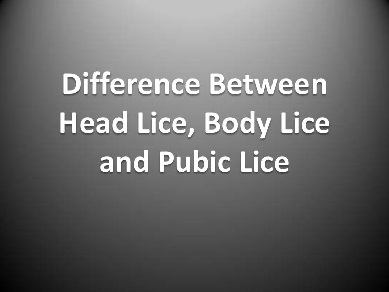 Difference Between Head Lice Body Lice And Pubic Lice