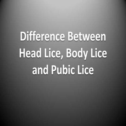 Difference between head lice, body lice and pubic lice