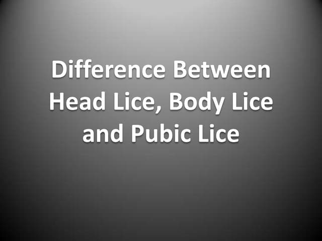 Client Handout - Fleas | DOCX