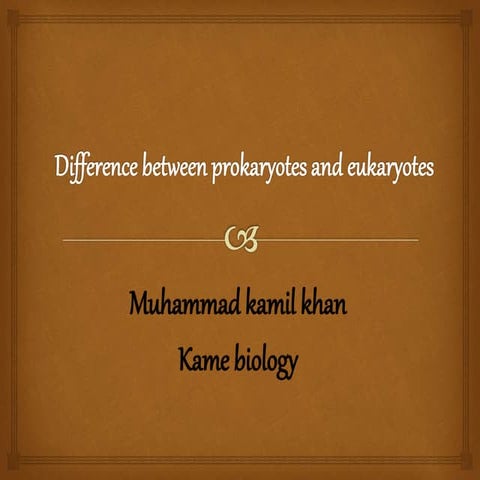 Difference between prokaryotes and eukaryotes