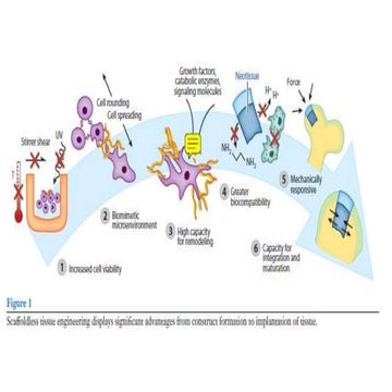 Difference beween self organization vs assembly
