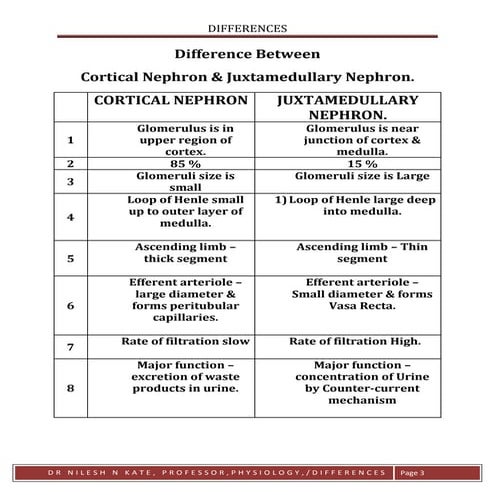 Differences   cortical vs juxtamedullary nephron