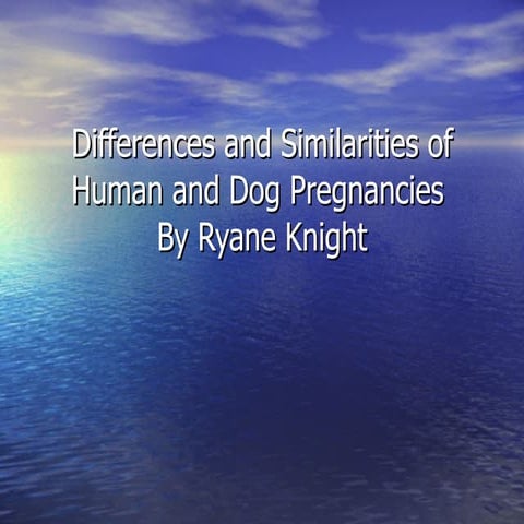 Incredible Differences Astonishing Similarities The Dog And Human Skeleton - sed7ds2