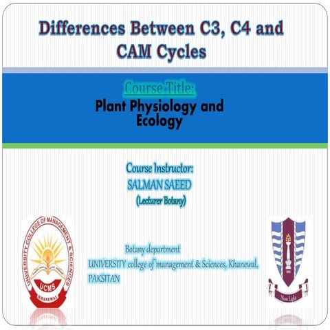 Differences Between C3, C4 and CAM Cycles by Salman Saeed | PPTX