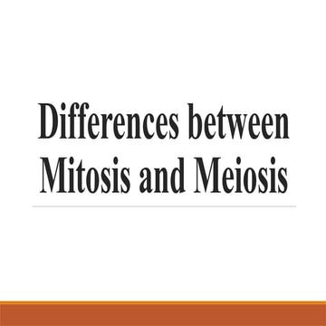 Differences between Mitosis and Meiosis.pptx