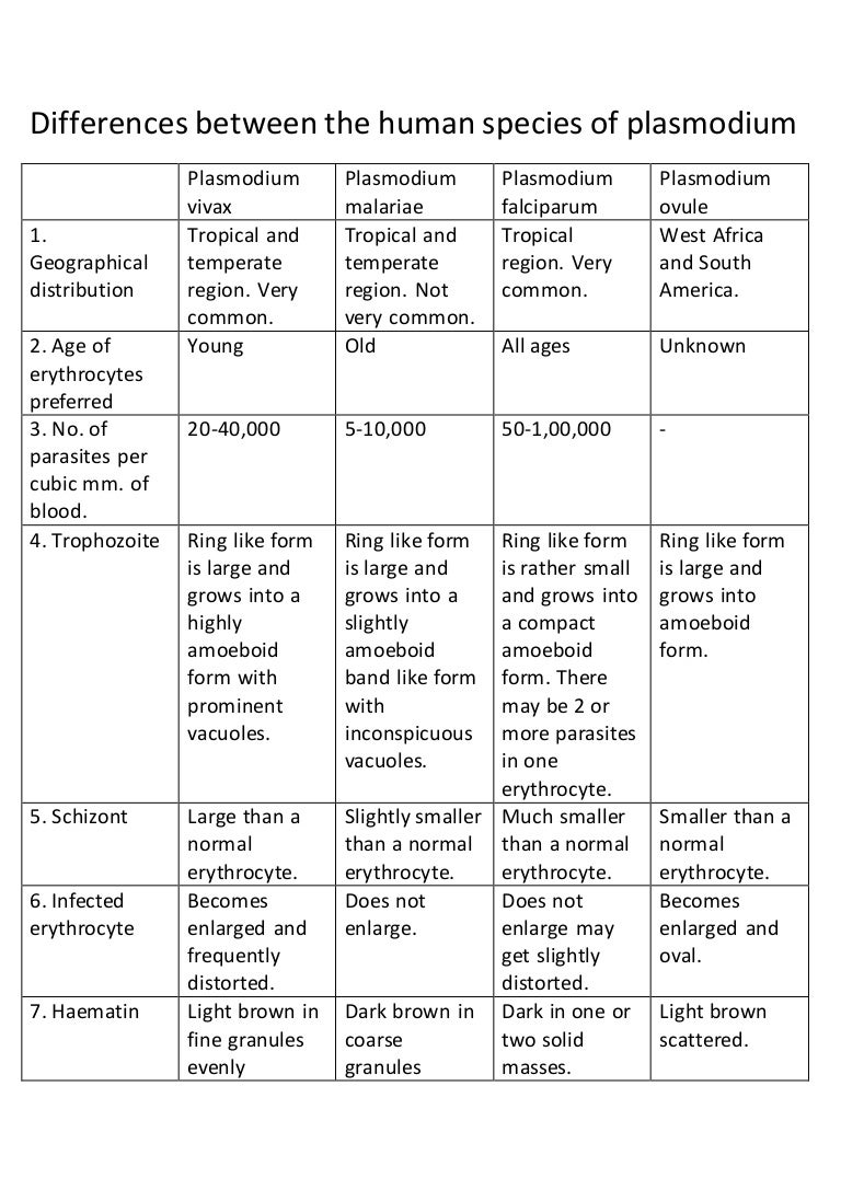 Differences between the human species of plasmodium
