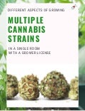 Different Aspects of Growing Multiple Cannabis Strains in a Single Room with a Grower License