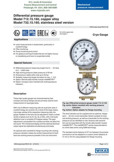 Process Differential Pressure Gauge