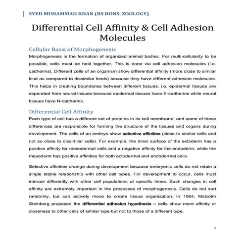 Differential Cell Affinity & Cell Adhesion Molecules