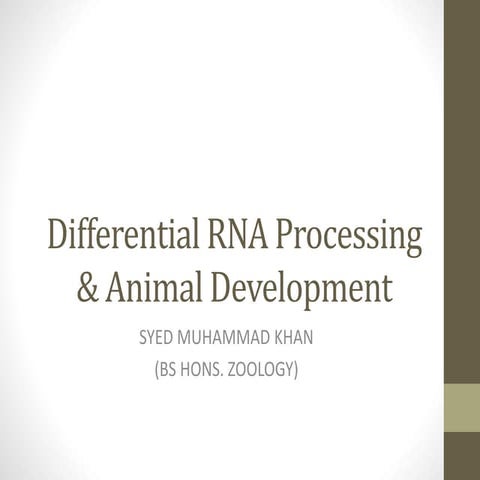 Differential RNA Processing & Animal Development