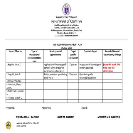 Differentiated-IS-Plan (1).docx