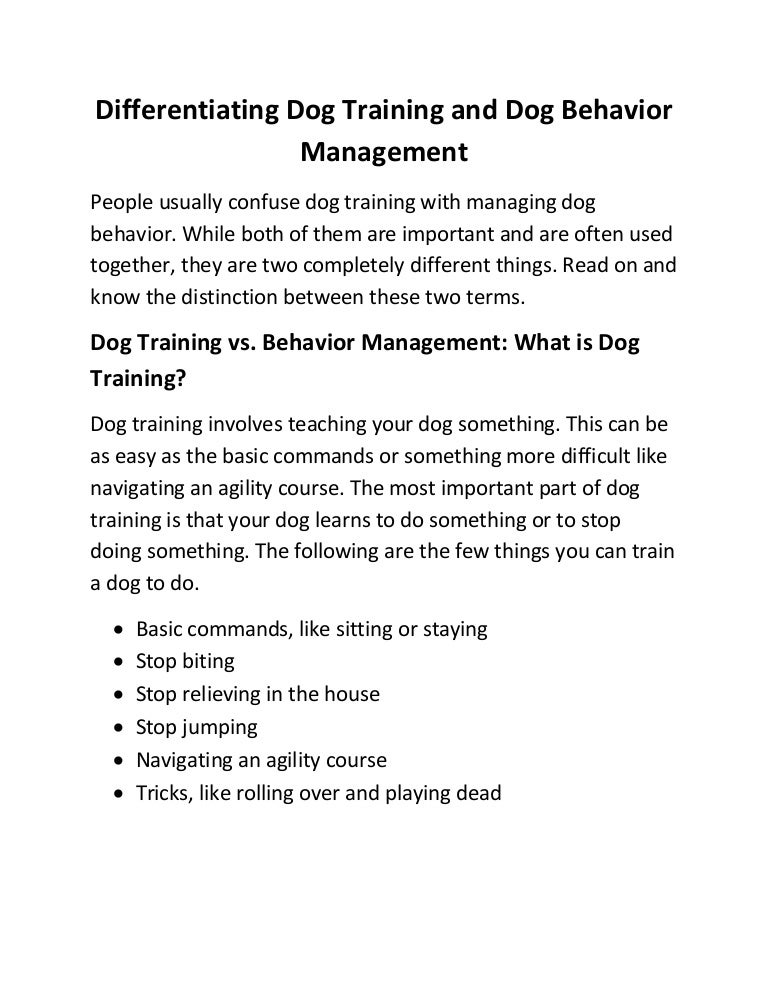 Differentiating Dog Training and Dog Behavior Management