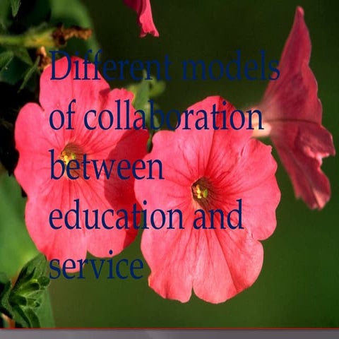 Different models of collaboration between education and service