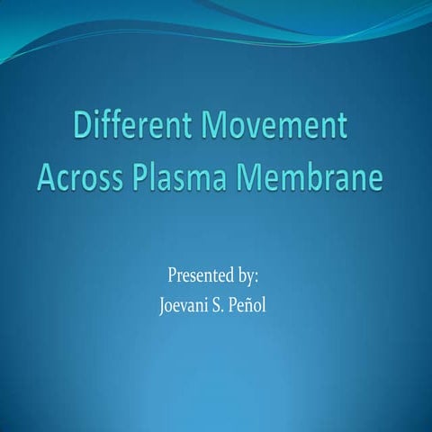 Different movement across plasma membrane