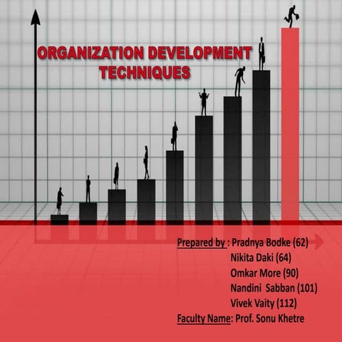 Different organization development techniques (OB Presentation)