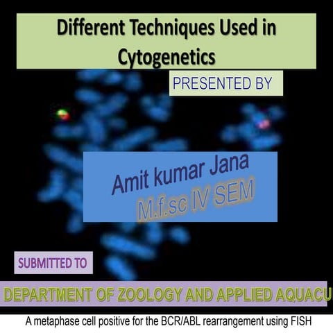 Different techniques used in cytogenetics