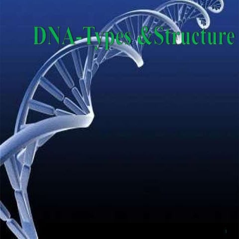 Different Types  and Structure.pptx