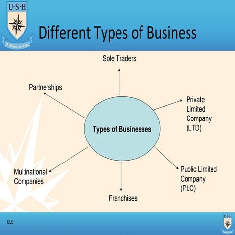 Different Types Of Business (Ltd And Plc) Part 2   T1