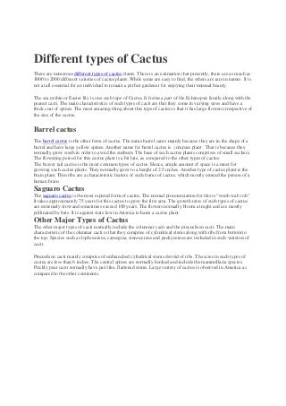 The Power Of Succulents Leaves Falling Off