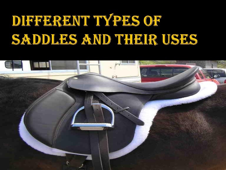 Different types of saddles and their uses
