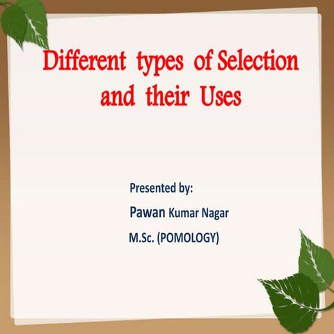 Bulk   method pedigree  method &amp;line breeding