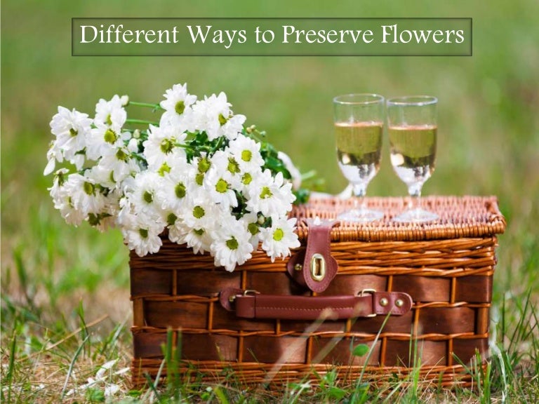 Different Ways to Preserve Flowers