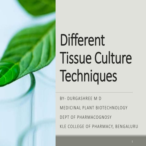Diff Tissue Culture Tech- Durgashree Diwakar