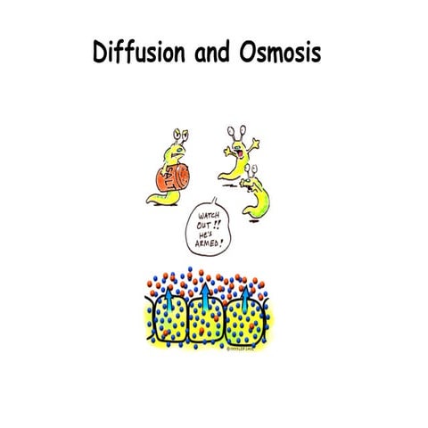 diffusion-and-osmosis a simple introduction.ppt