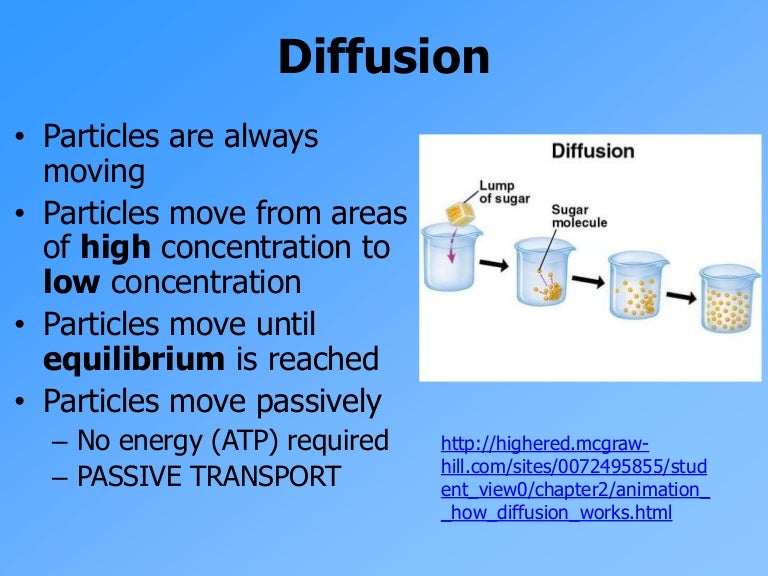 osmosis and diffusion venn diagram wiring diagram source osmosis diffusion venn diagram