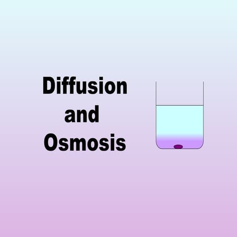 Diffusion And Osmosis