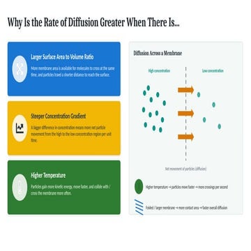 Factors Influencing the Rate of Diffusion Across Membranes Explained | PPTX