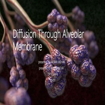 Diffusion of respiratory gasses and reflexes