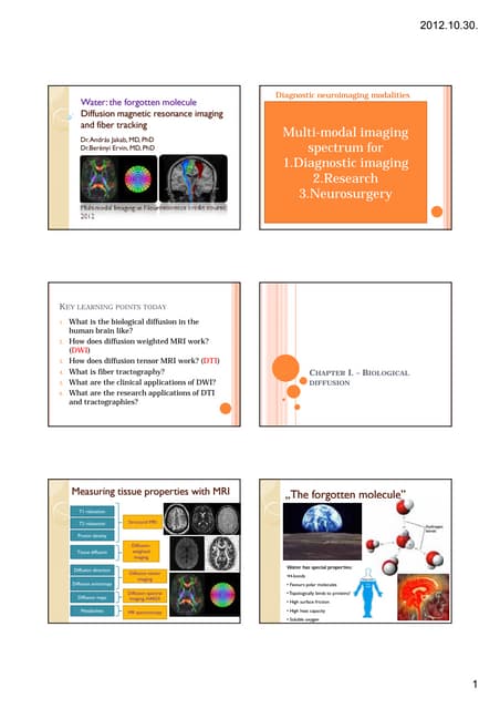Fmri Presentation Pptx Brain And Nervous System Disorders