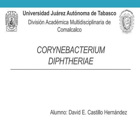 Corynebacterium Diphteriae Difteria