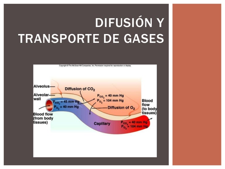 Difusion de gases en la sangre 2013