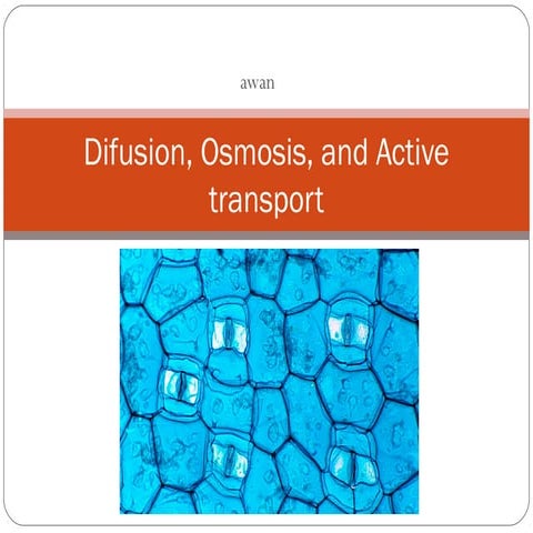 Grade 9 INTRA - Difusion, Osmosis, and Active Transport