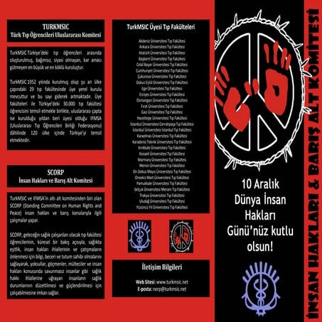 Dünya İnsan Hakları Günü 2009 TurkMSIC Broşürü