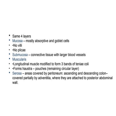 Anatomy and Physiology of the Colon, Liver, and Biliary System with ...
