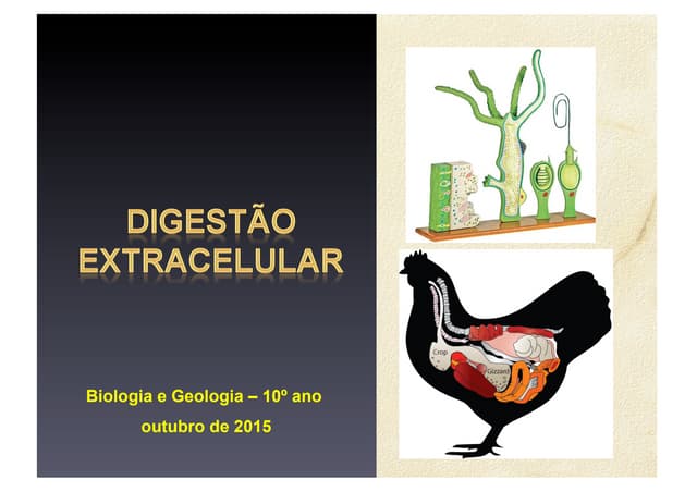 Digestao Extracelular