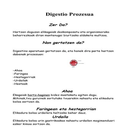 Digestino prozesua laburpena