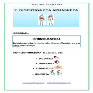 Digestioa eta arnasketa