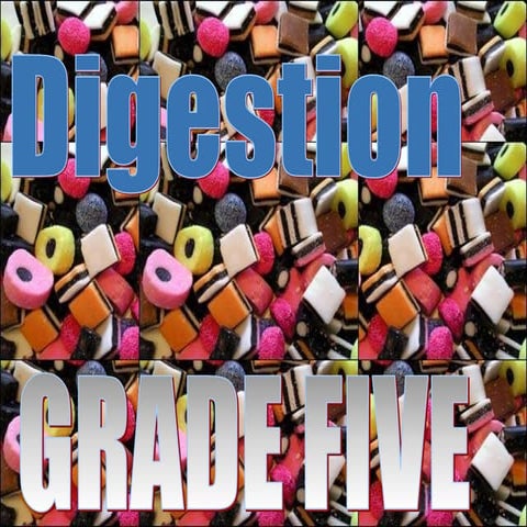 Digestion